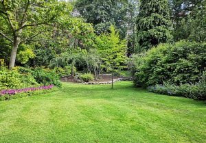 Optimiser l'expérience du jardin à Sorde-l'Abbaye